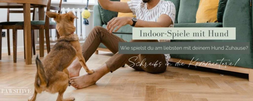 Hundespiele Zuhause Kommentare
