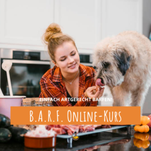 Barfkurs online