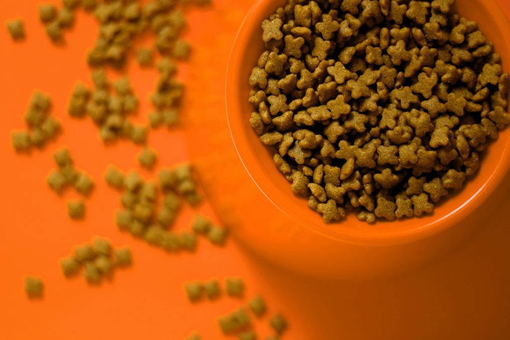 hundefutter test worauf es wirklich ankommt