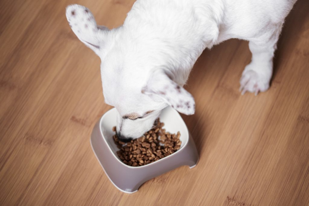 hundefutter trocken1 1