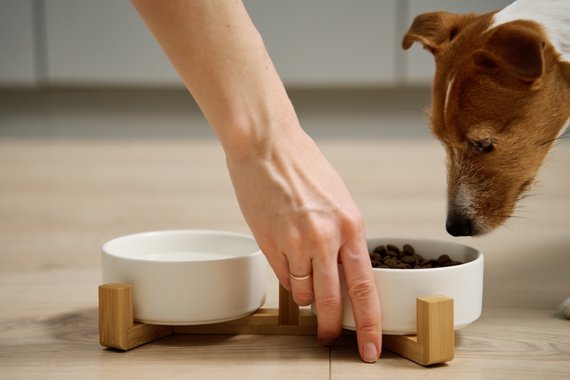 hundefutter trocken21 1
