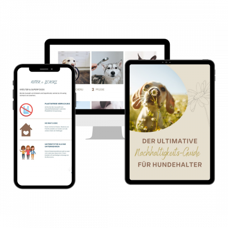 Design ohne Titel (45) Design ohne Titel (45)