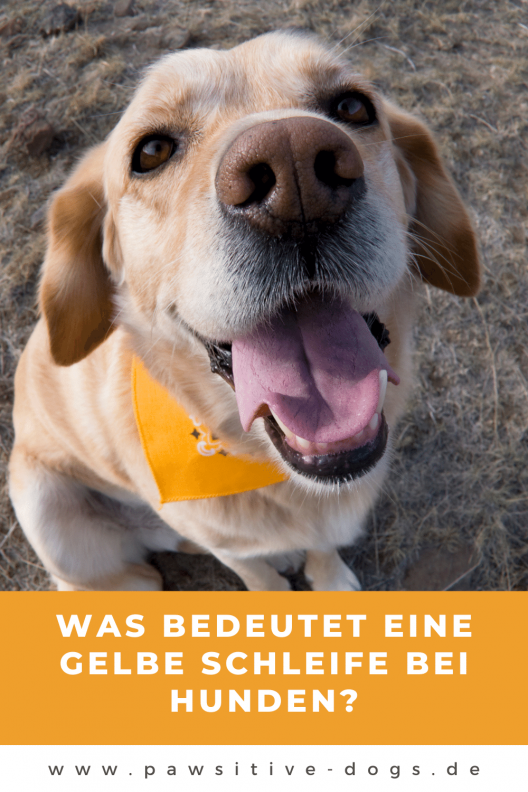 Kopie von Pinterest Vorlagen NEU (33) Kopie von Pinterest Vorlagen NEU (33)