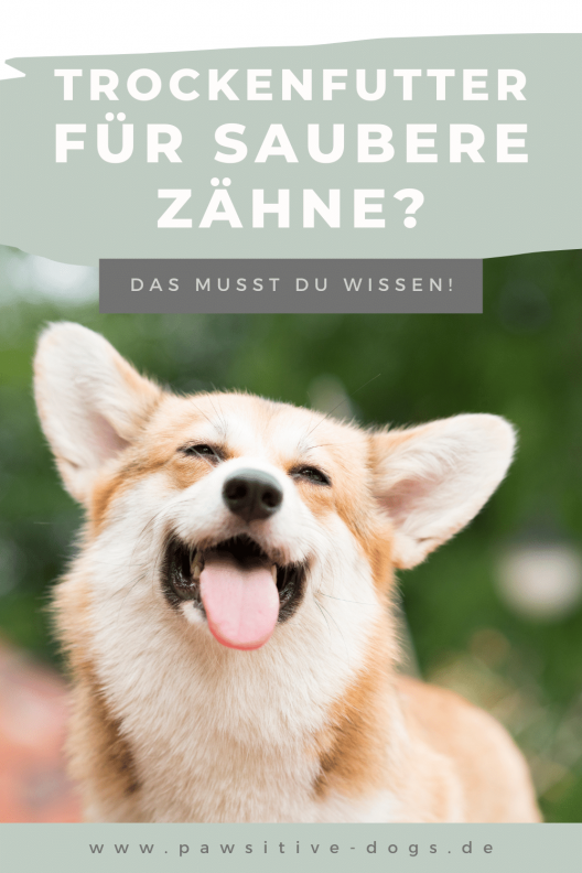 Trockenfutter für saubere Zähne Trockenfutter für saubere Zähne